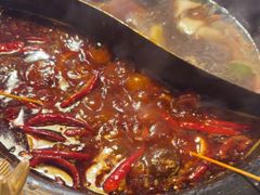 -蜀大侠火锅(总府路店)