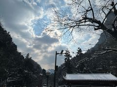 -张家界天门山国家森林公园