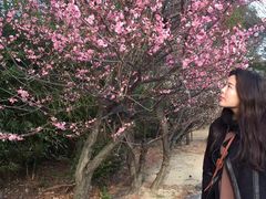 -一兰拉面(梅田阪急东通店)