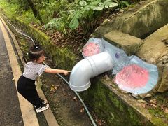 -三门江国家森林公园