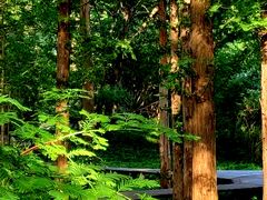 -国家植物园南园