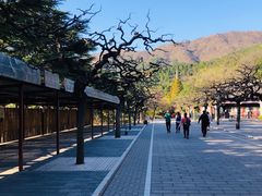 -香山公园-东宫门售票处