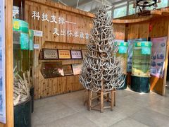 -北京鹿世界主题园