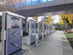 -成飞公园