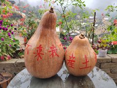 -阳产土楼