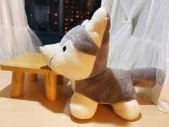 -Husky Go! 哈士奇体验馆·宠物咖啡厅狗咖