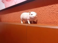 -猪角·闽南猪脚饭(厦门中医院店)