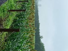 -汉长安城未央宫国家考古遗址公园