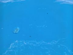 -杭州浪浪浪水公园