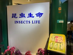 -上海昆虫博物馆
