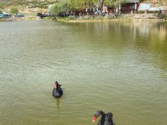 -静之湖度假区