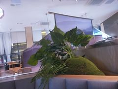 -马家斑.鲜鱼火锅(松湖万科店)