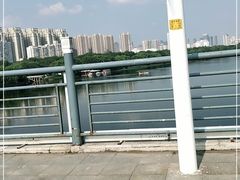 -长白岛森林公园