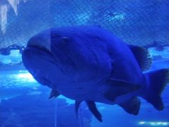 -多彩贵州城极地海洋世界