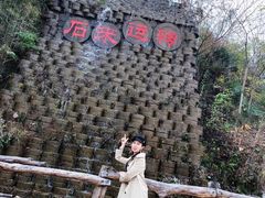 -千年银杏谷文化旅游区