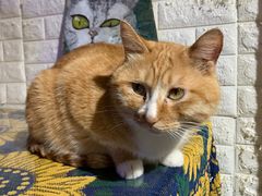 -平行世界·猫咖(首经贸店)