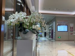 点击看大图 -恒妍医美·韩国定制抗衰中心