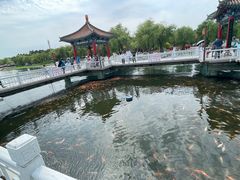 -长春市南湖公园