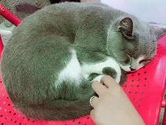 -MIKAKU(万达广场上海宝山店)