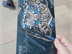 -罗红摄影艺术馆