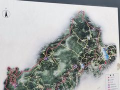 -杭州半山国家森林公园