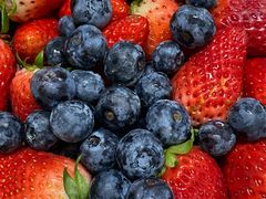 -堤口果品批发市场