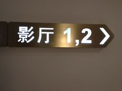 -百丽宫影城(CGS激光苏宁广场店)