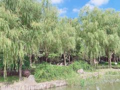 -新虹桥中心花园