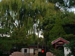 -新川办餐厅