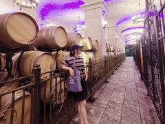 -北京张裕爱斐堡酒庄