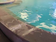 -山水温泉