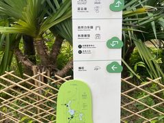 -福田红树林生态公园