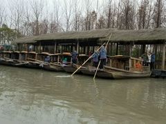 -溱湖国家湿地公园