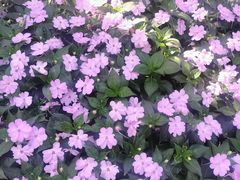 -怡心阁·水疗SPA(天府广场店)