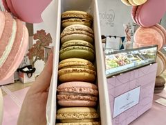 -Pierre Marcolini(德基广场店)