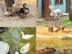 -南戴河国际娱乐中心