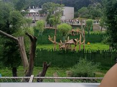 -沈阳森林动物园