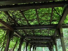 -大连植物园