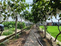 -美家乐农庄·露营·团建(大治路店)