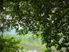 -火炉山森林公园
