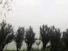 -武清南湖绿博园