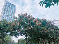 -后襄河公园