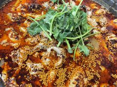 -灶知轩湘西石锅鱼(万佳广场店)