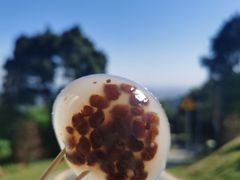 -黄埔油麻山森林公园