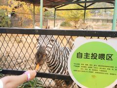 -无锡动物园·太湖欢乐园