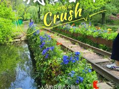 -上海共青森林公园