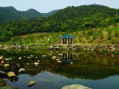 -广州市石门国家森林公园