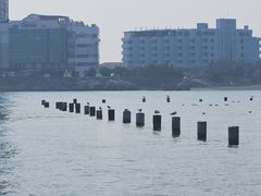 -青岛第二海水浴场