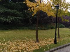 -上海市龙华烈士陵园