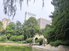 -团结湖公园